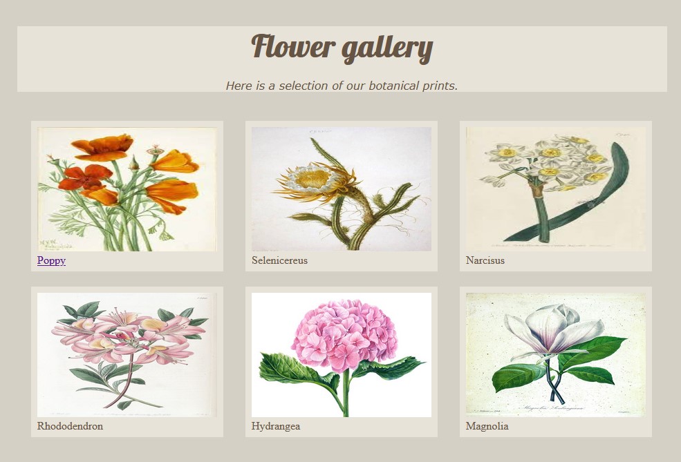 gallery